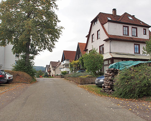 Durch Waldhausen