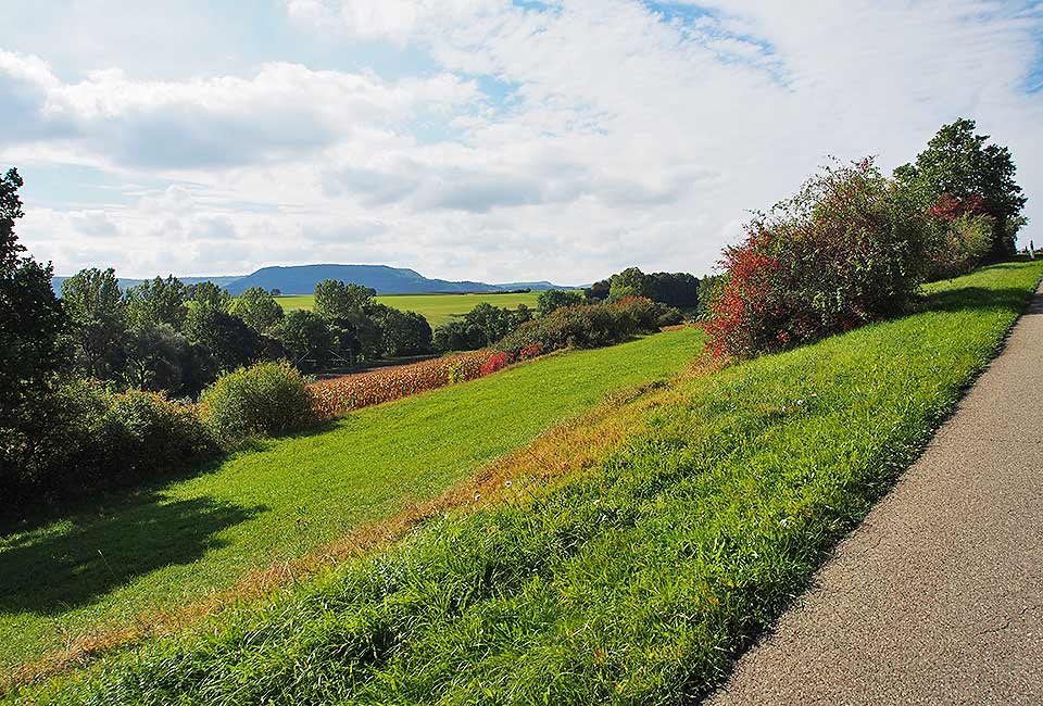 Blick auf die Alb