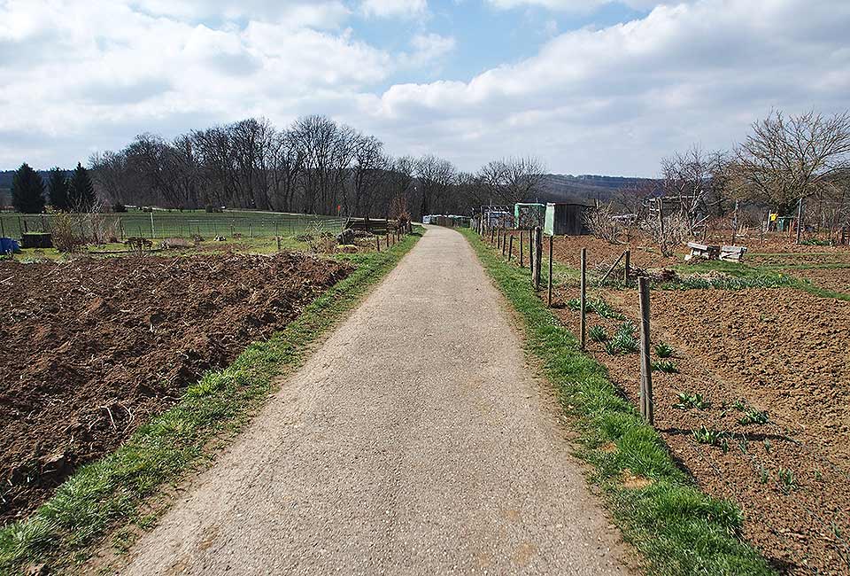 Hochebene bei Hegnach