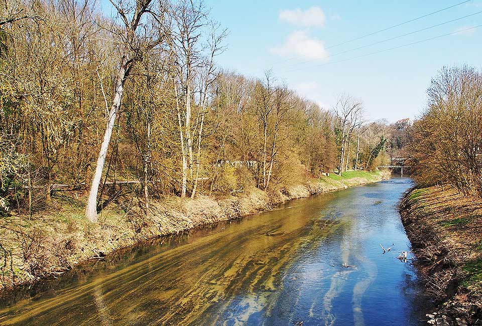 Die Rems bei Neustadt