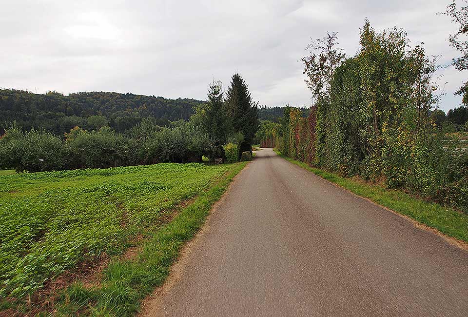 An der Trasse der B29