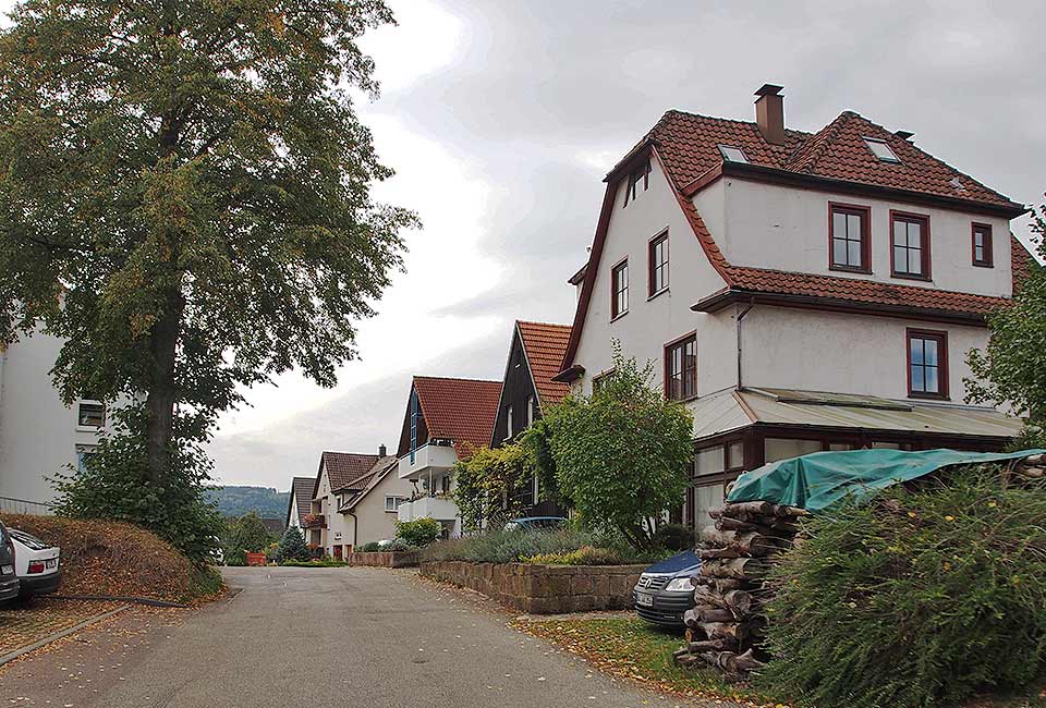 Durch Waldhausen