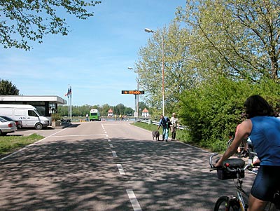 Straße zur Rheinfähre Greffern