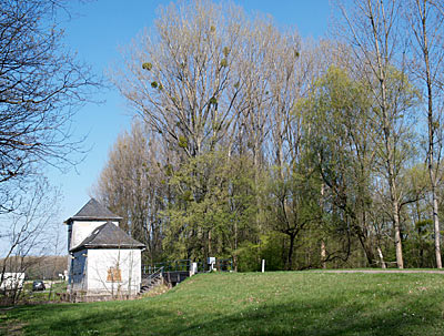 Schöpfwerk vor Leimersheim