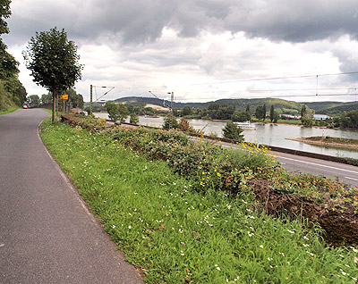 Blick auf den Rhein