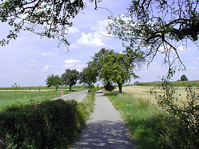 Radweg nach Göbrichen