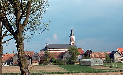 Rheintalradweg: Blick auf Neupotz