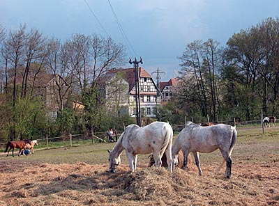 Rheintalradweg: Wanzenheimer Mühle