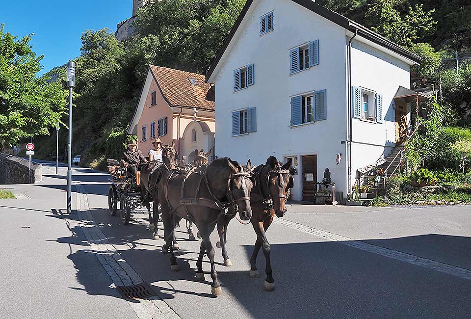 Altstadt Sargans auf dem Berg