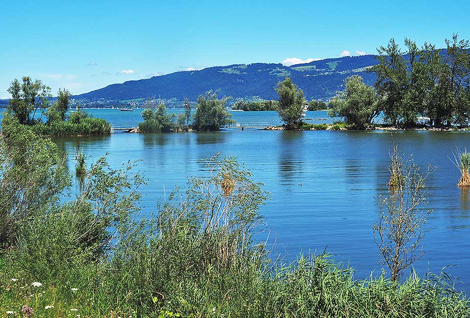Wunderschöne Seenlandschaft am Rheindelta