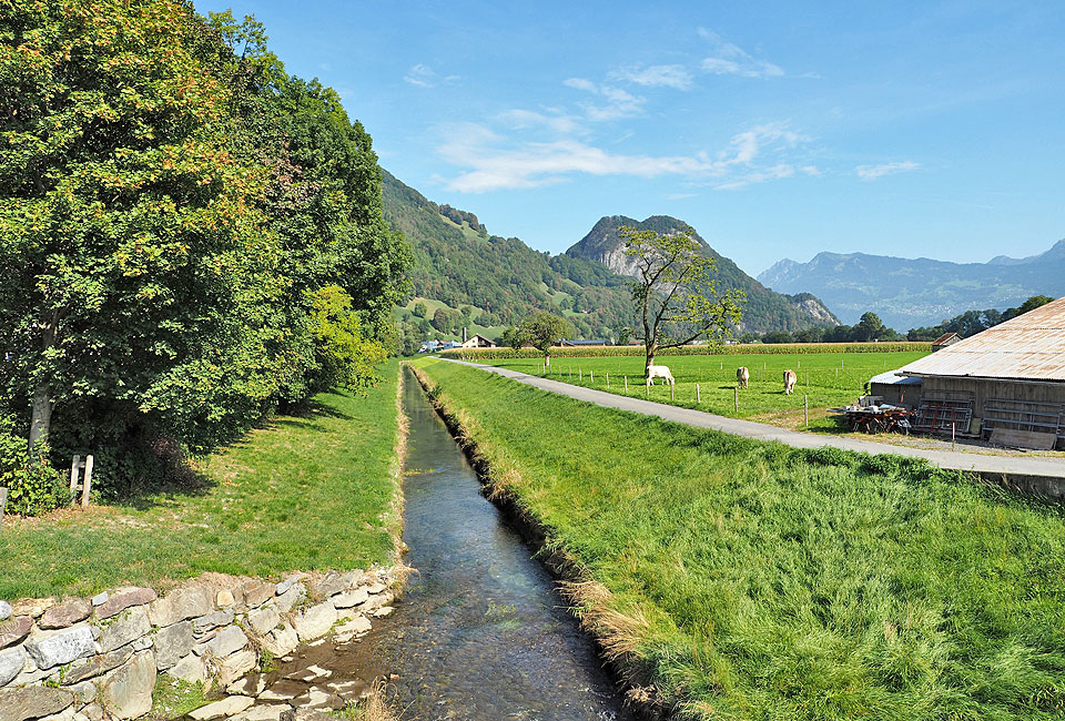 Fruchtbare Rheinebene Fruchtbare Rheinebene