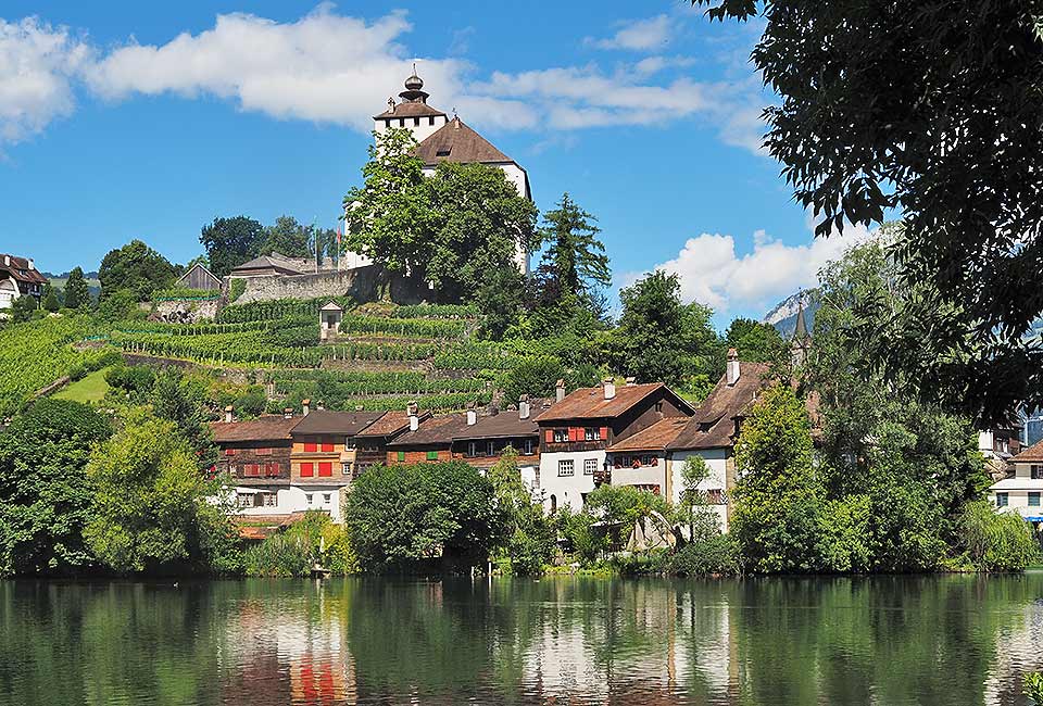 Blick auf Schloss Vaduz