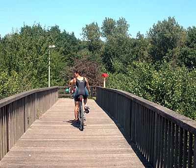 Rheintalradweg: Bahnübergang Lingenfeld