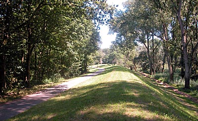 Rheintalradweg: Im Schwarzwald der Rheinwälder