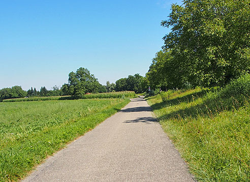 Radweg am Damm