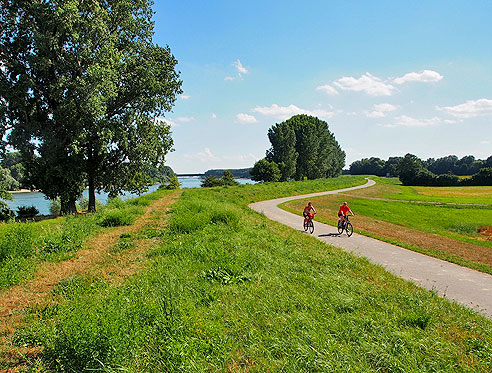 Radweg am Rhein