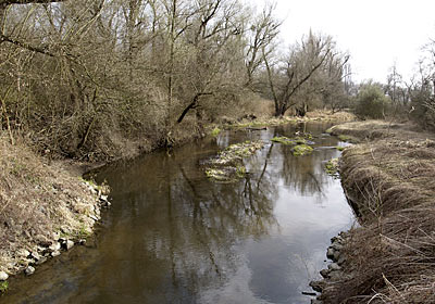 Rheintalradweg: Rheinaue