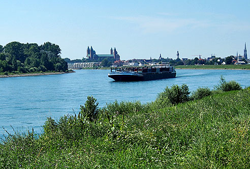 Blick zurück nach Speyer