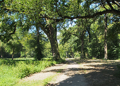 Reißinsel Waldpark