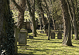 Rheintalradweg: Jüdischer Friedhof
