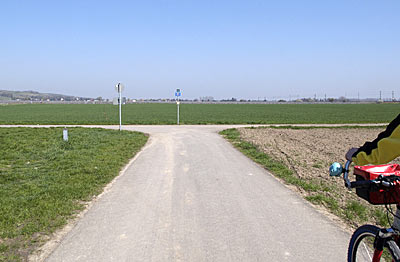 Rheintalradweg: Radweg vor Alsheim