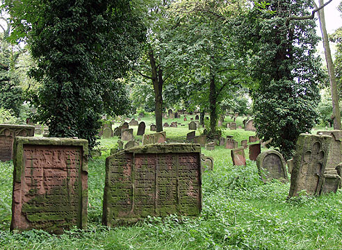 Rheintalradweg:  Judenfriedhof in Worms