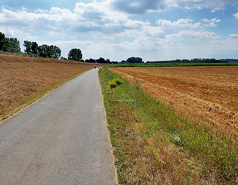 Radweg in Nackenheim