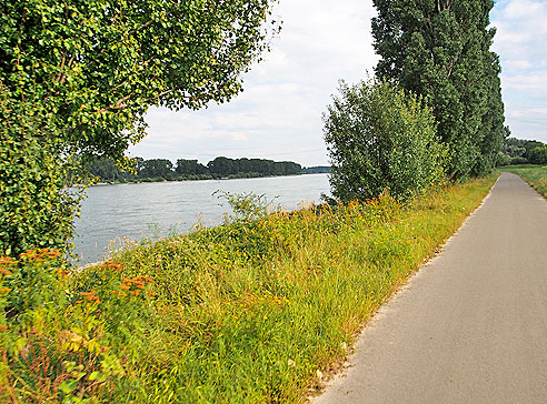 Radweg am Rhein