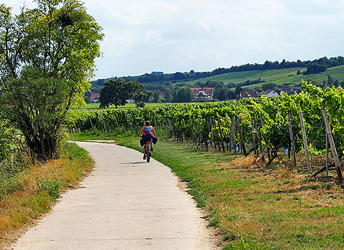 Rheinblick von der Rheinterrasse