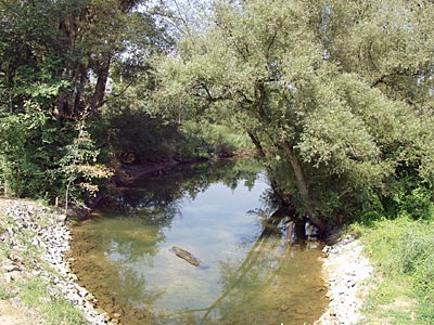 Rheinradweg: Auf dem Rheindamm