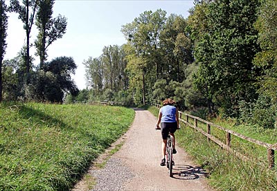 Rheinradweg: Auf dem Rheindamm