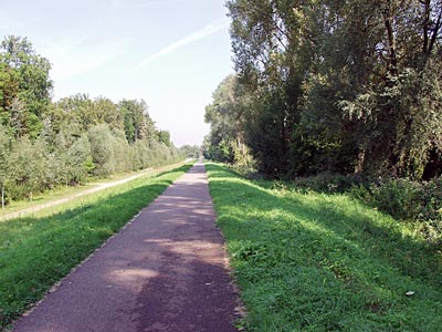 Rheinradweg: Fahrradrennstrecke