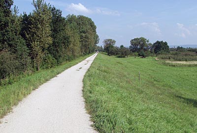 Rheinradweg: Blick auf den Baggersee