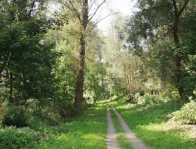 Rheinradweg: Blick auf den Baggersee