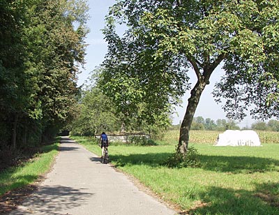 Rheinradweg: Blick auf den Baggersee