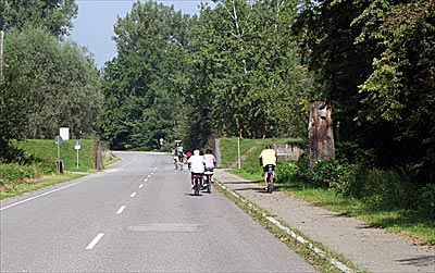 Radweg zum Damm bei Neuburgweiher