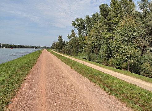 Radweg auf dem Damm