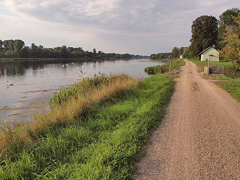 Auf dem Rheindamm