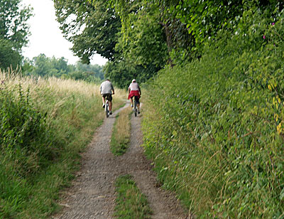 Alternativroute durch den Rheinwald