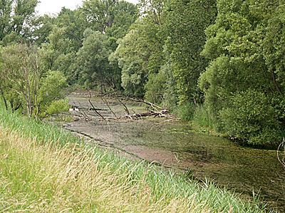 Kleine naturbelassene Wassergräben