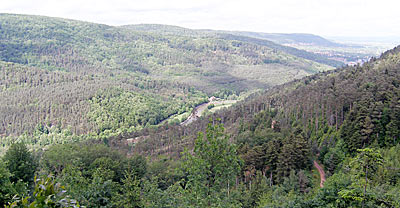 Rhein-Marne-Kanal-Radweg: Blick auf das Tal der Zorn