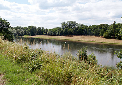 Rhein bei Rheinweiler