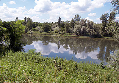 Der Rhein - wie ein See