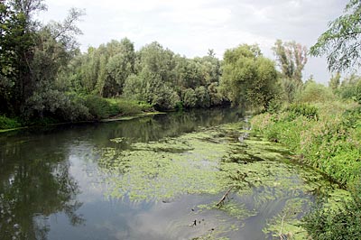 Einfahrt in Roeschwoog