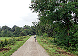 Auf dem Weg zum Rheindamm