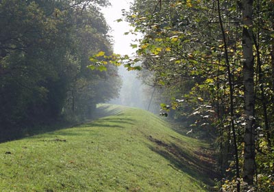 Rheinradweg: Rheinhauptdamm bei Freistett