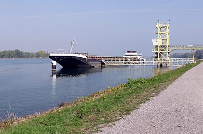 Rheinradweg: Rheinhauptdamm bei Freistett