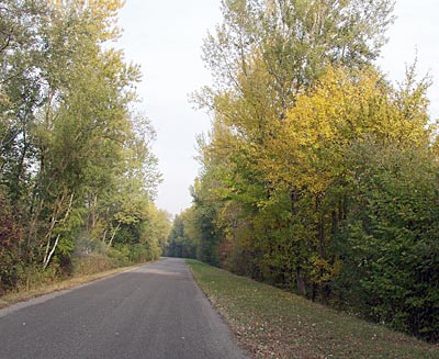 Rheinradweg: Kerzengerader Weg längs des Rheines