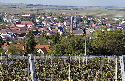 Blick auf Bad Bergzabern