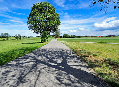 Radweg auf dem Hügelkamm
